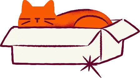 Cat in box